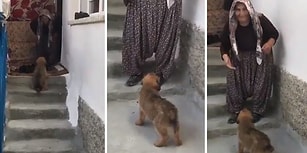Anadolu İnsanının Hayran Bırakan Muhteşem Güzelliği: 'Anaam Benim Nerden Geldin Gı'
