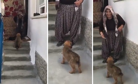 Anadolu İnsanının Hayran Bırakan Muhteşem Güzelliği: 'Anaam Benim Nerden Geldin Gı'