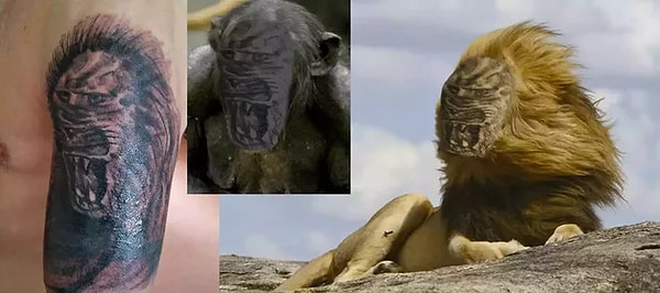 7. То ли макака, то ли лев, поди разберись