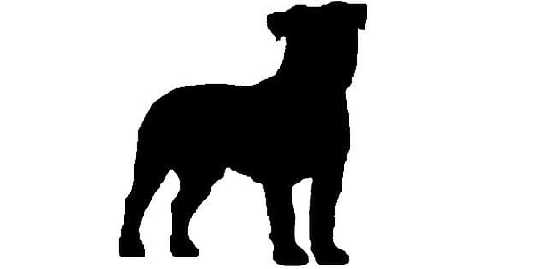 5. А этот ситуэт принадлежит собаке породы...