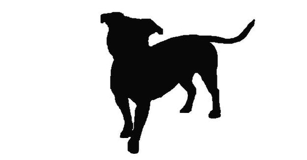 7. Что за порода скрыта тут?