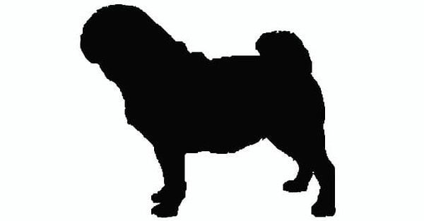 8. А это, конечно же...