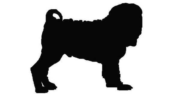 9. Вам знакома данная порода?