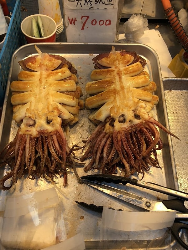 21. Осьминоги 😳 😳 😳