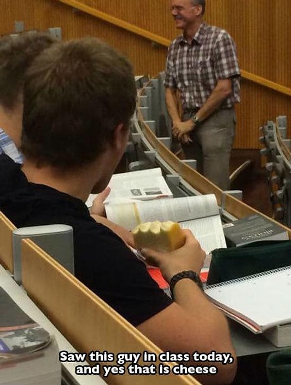 8. Нет, это не кусок булки, это сыр!