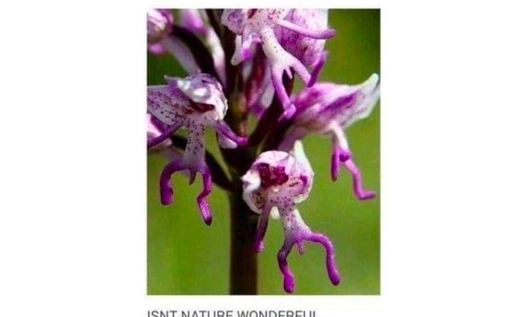 13. Ох уж эта удивительная природа 😮