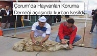 Yurdumuzun Dört Bir Yanında Sıradan Bir Günde Yaşanan 15 Eşsiz Olay