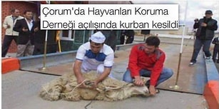 Yurdumuzun Dört Bir Yanında Sıradan Bir Günde Yaşanan 15 Eşsiz Olay