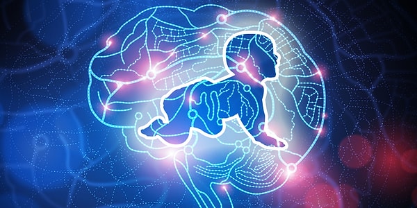 6. Несмотря на то, что малыши рождаются с очень большим головным мозгом, он продолжает расти и развиваться до 25 лет.