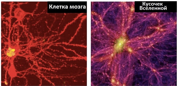 1. Мозговые клетки, Вселенная и интернет обладают одной и той же схемой роста.