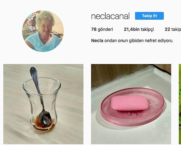 Hesabın sahibi Necla Canal isimli bir kadın. Bio bölümü gayet sade. "🎓 Bahçeşehir University, ✈️ Antalya" gibi ifadeler yok.