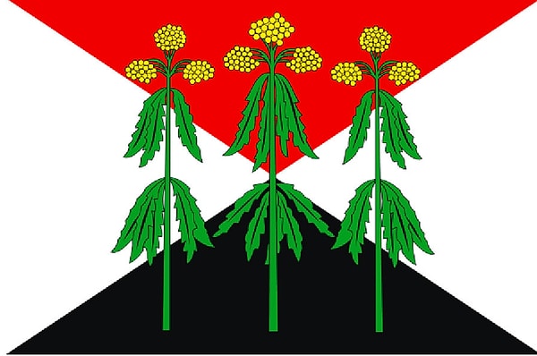 6. Флаг Кимовского района