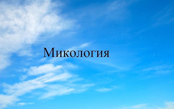 2. А это еще сложнее: