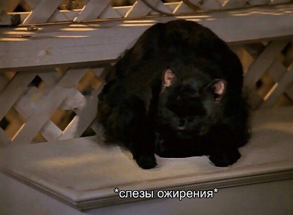 12. Которая заканчивается вечером вторника!