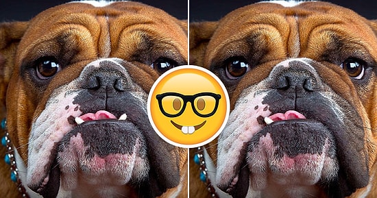 Только очень внимательный человек сможет набрать максимальное количество правильных ответов в этом тесте