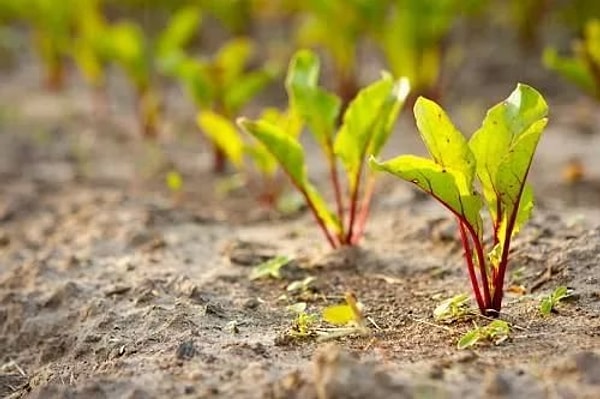 5. Что же это такое?