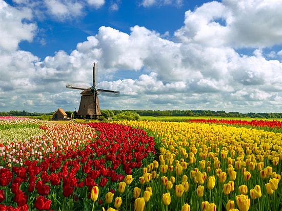 Gözüne İlk Çarpan Renklere Göre En Baskın 5 Özelliğin Ne?