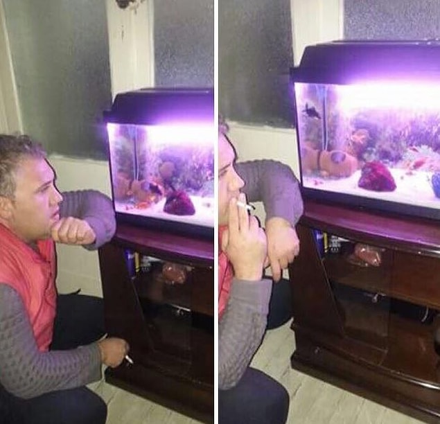 8. Akvaryum keyfi diye tatsız açıklamayla paylaşılmış bir fotoğraf. :)