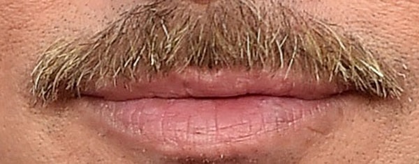 5. Кому принадлежат эти усы?