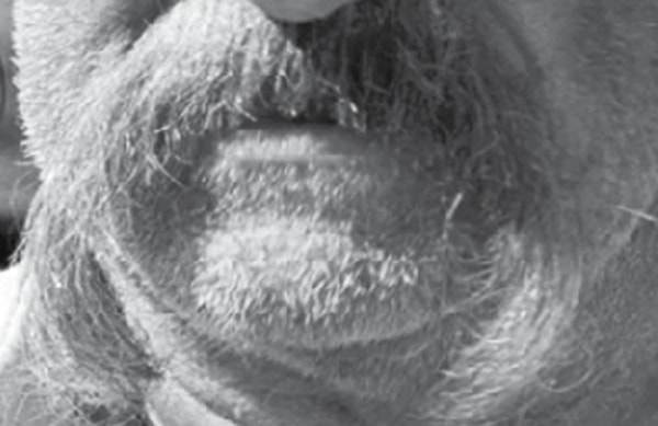 12. Кому принадлежат эти усы?