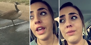 Tek Bacaklı Kaz Görünce Aracın İçinde Yarım Saat Boyunca Ağlayan Kadın