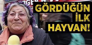 Karşılaştığınız İlk Hayvan Neydi?