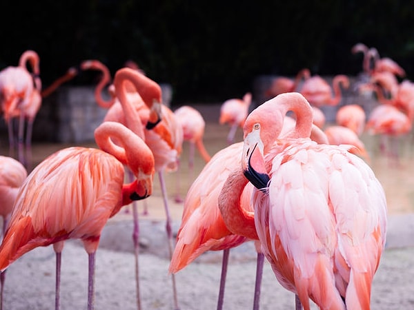 Посмотреть правильный ответ: