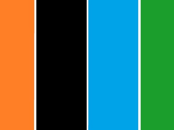 8. Кто стоит за этими яркими цветами?