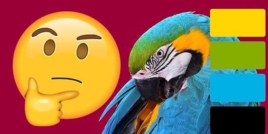 Тест: угадайте животное по основным цветам его окраса