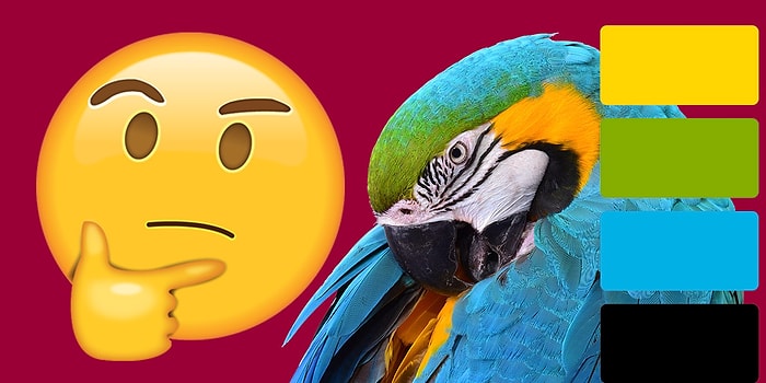 Тест: угадайте животное по основным цветам его окраса