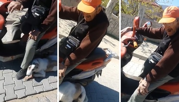 Zavallı Köpeği Motorla Sürükleyerek Eziyet Ederken Yakalanan Cani