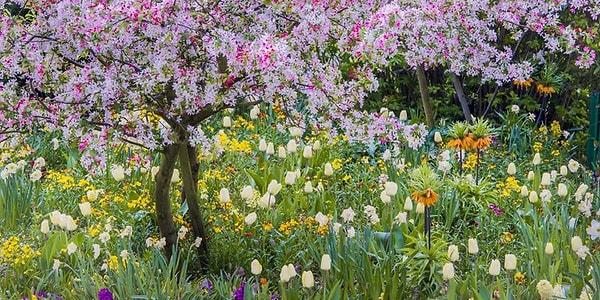 4. Часто немые глаза красноречивее уст.