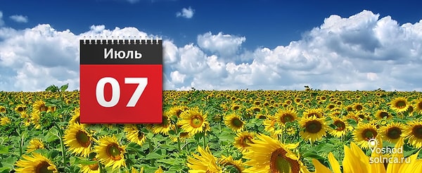 Весёлые, скрытные, спокойные, честные, дружелюбные