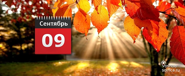 Заботливые, тихие, спокойные, понимающие, упрямые, сочувствующие