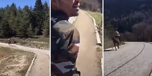 Dört Nala Koşan Atın Üzerindeki Adamı 'Durur O Durur' Diyerek Teselli Eden Genç