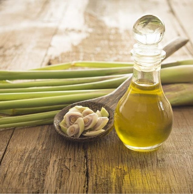 Limon otu yağı çıktı!