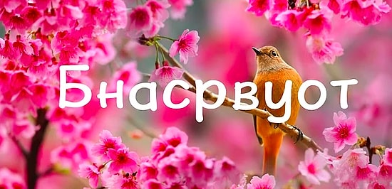 Тест: Если вы наберете в этом тесте 10/10, то ваши интеллектуальные способности уникальны