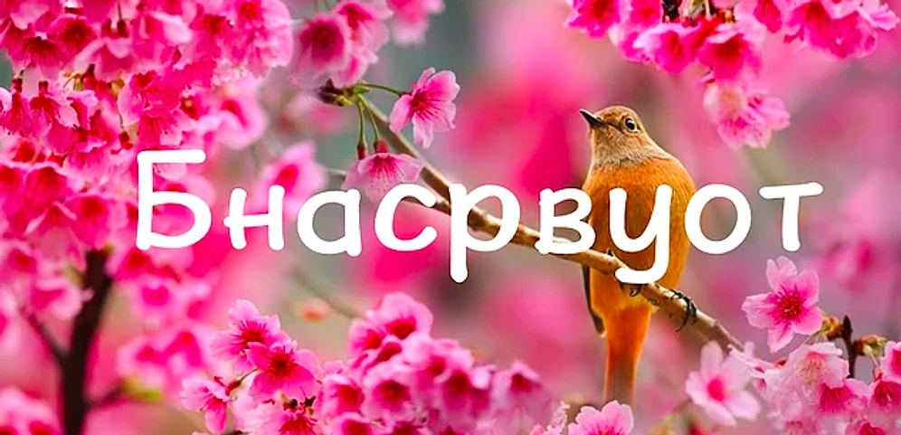 Тест: Если вы наберете в этом тесте 10/10, то ваши интеллектуальные способности уникальны