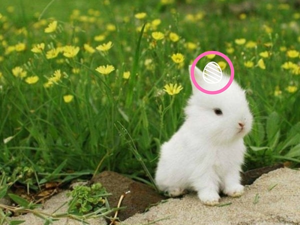 Посмотреть правильный ответ: