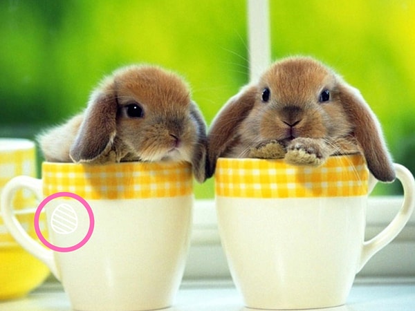 Посмотреть правильный ответ: