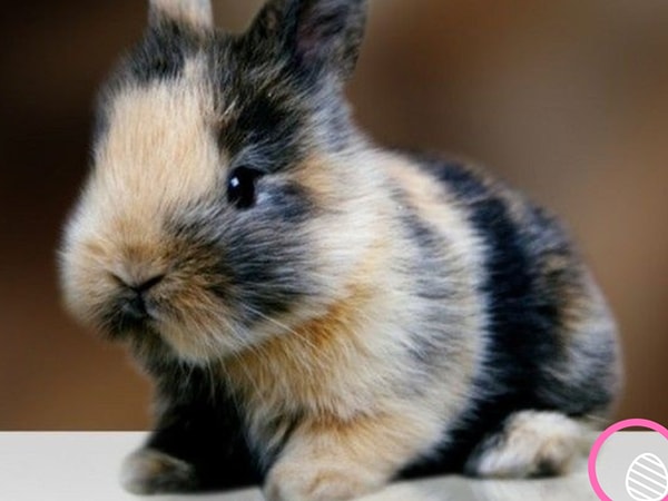 Посмотреть правильный ответ: