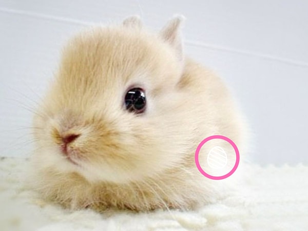 Посмотреть правильный ответ: