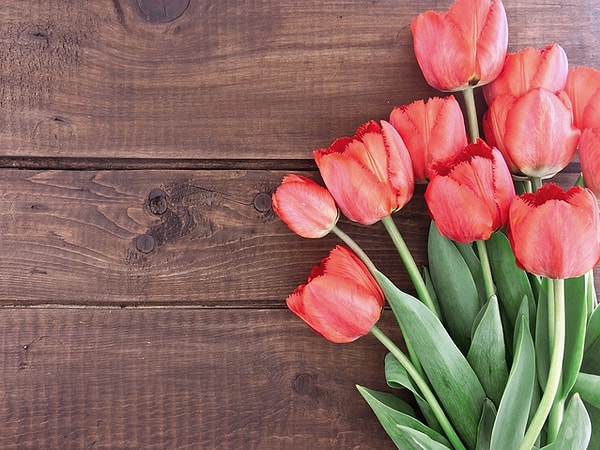 2. Запомните и эту: