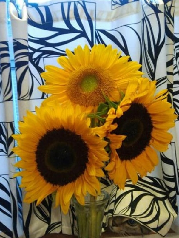 18. До падения вазы 3...2...1...