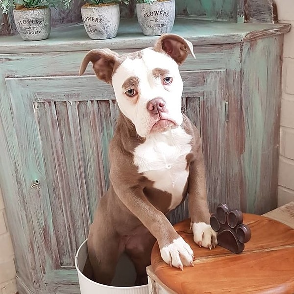 ... но выглядит она всегда очень несчастной.