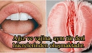 Duyunca İçinizin Ürpereceği Birbirinden İlginç 18 Bilgi