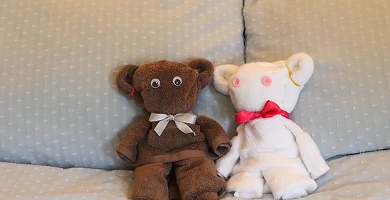 Siz de Havlularınızı Misafirleriniz İçin Minnoş Ayılara Dönüştürebilirsiniz!