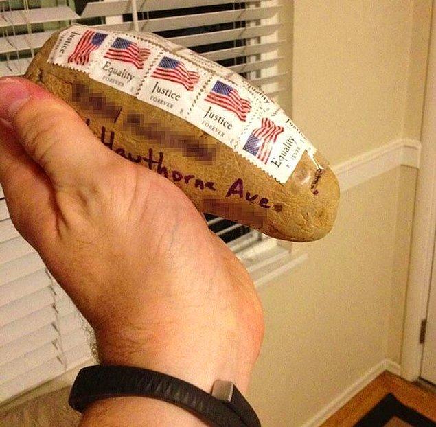 13. "Kardeşimin bana postaladığı patates."