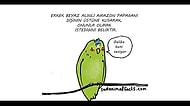 Hayvanlar Hakkındaki Üzücü Gerçekleri Eğlenceli Bir Dille Anlatan 23 Karikatür