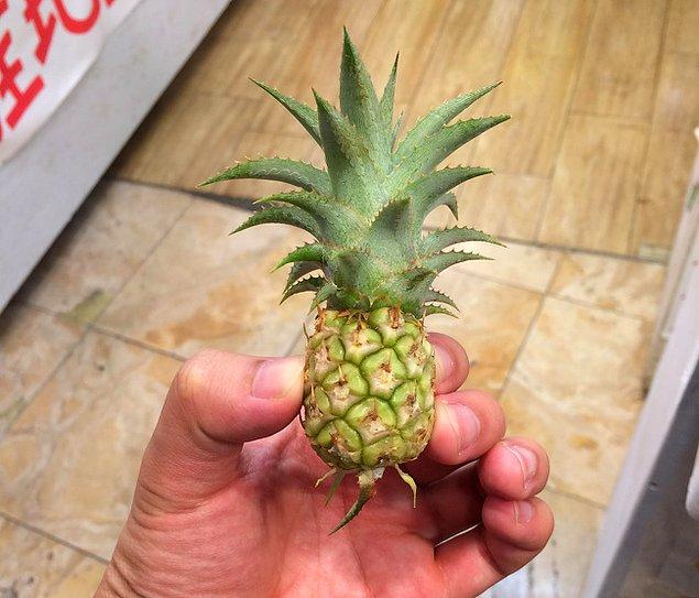 6. Bir bebek ananas.